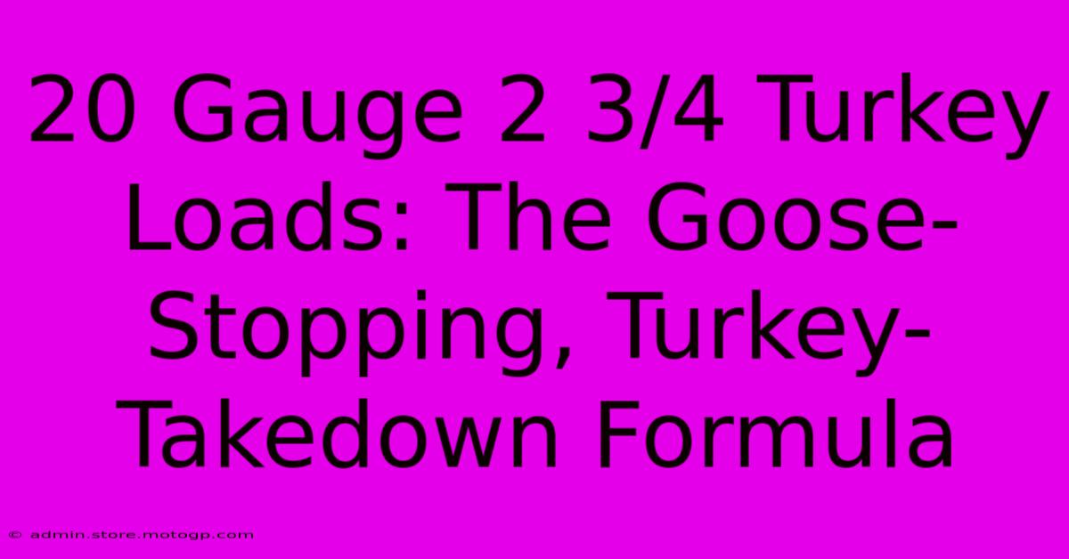 20 Gauge 2 3/4 Turkey Loads: The Goose-Stopping, Turkey-Takedown Formula