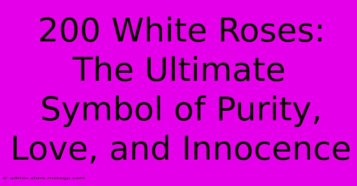 200 White Roses: The Ultimate Symbol Of Purity, Love, And Innocence