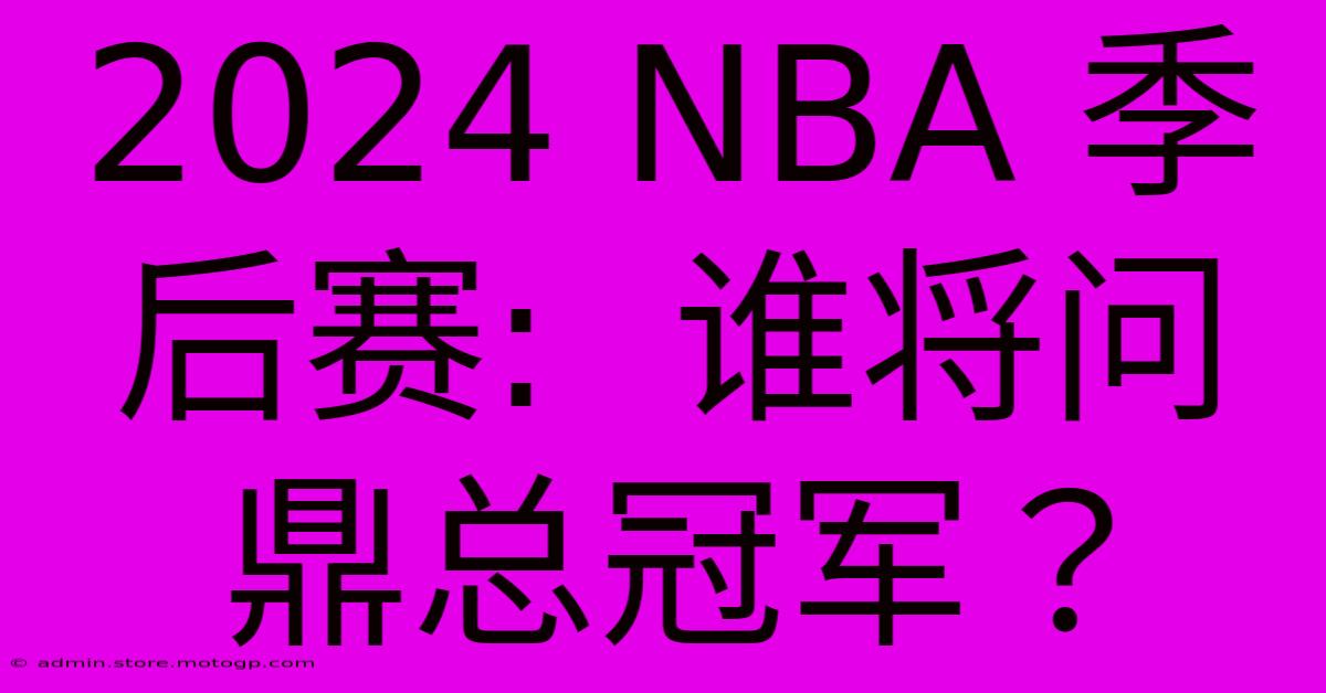 2024 NBA 季后赛:  谁将问鼎总冠军？