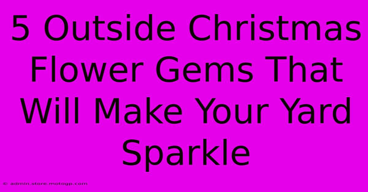 5 Outside Christmas Flower Gems That Will Make Your Yard Sparkle