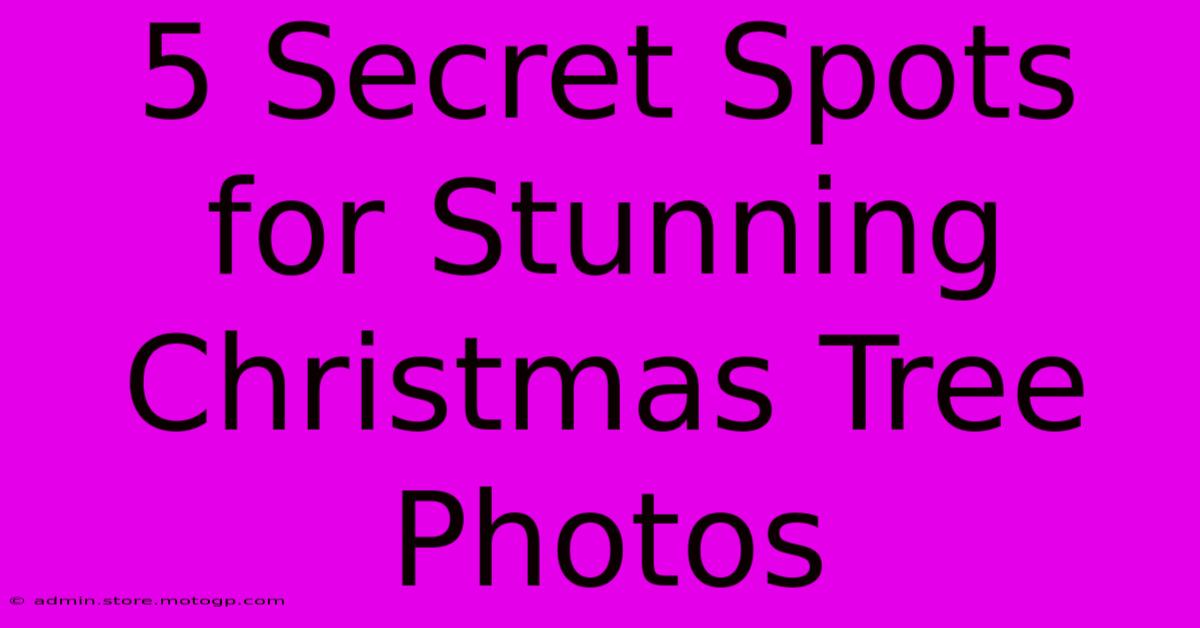 5 Secret Spots For Stunning Christmas Tree Photos