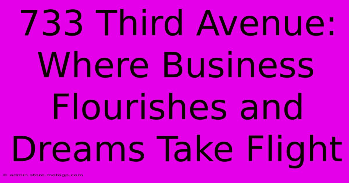 733 Third Avenue: Where Business Flourishes And Dreams Take Flight