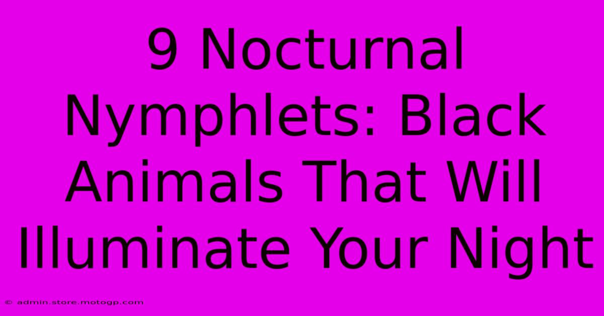 9 Nocturnal Nymphlets: Black Animals That Will Illuminate Your Night