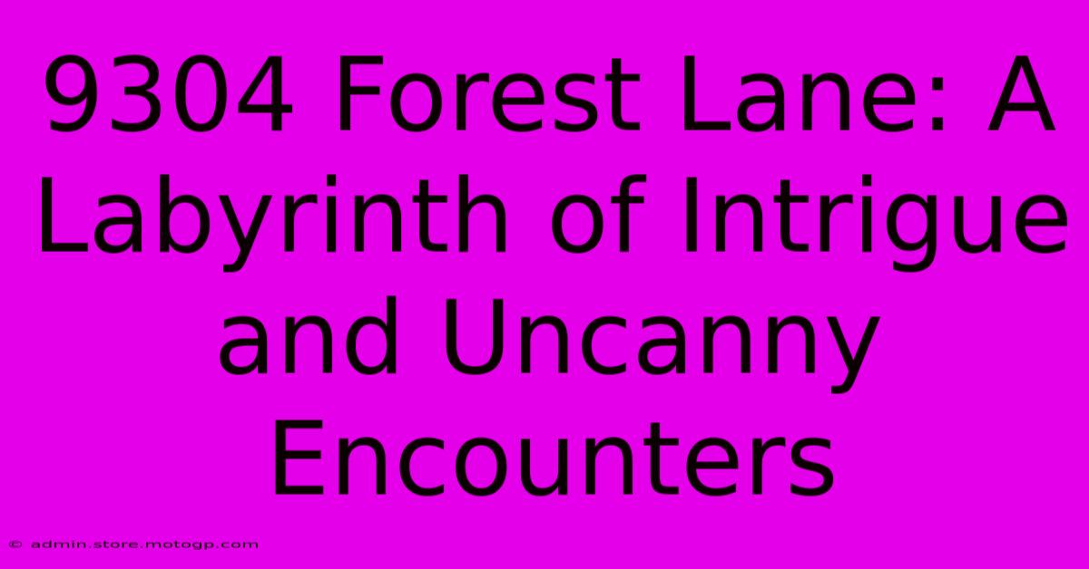 9304 Forest Lane: A Labyrinth Of Intrigue And Uncanny Encounters