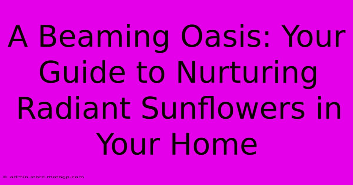 A Beaming Oasis: Your Guide To Nurturing Radiant Sunflowers In Your Home