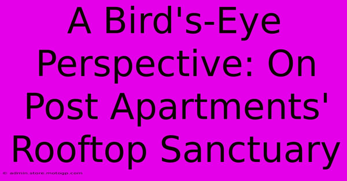 A Bird's-Eye Perspective: On Post Apartments' Rooftop Sanctuary