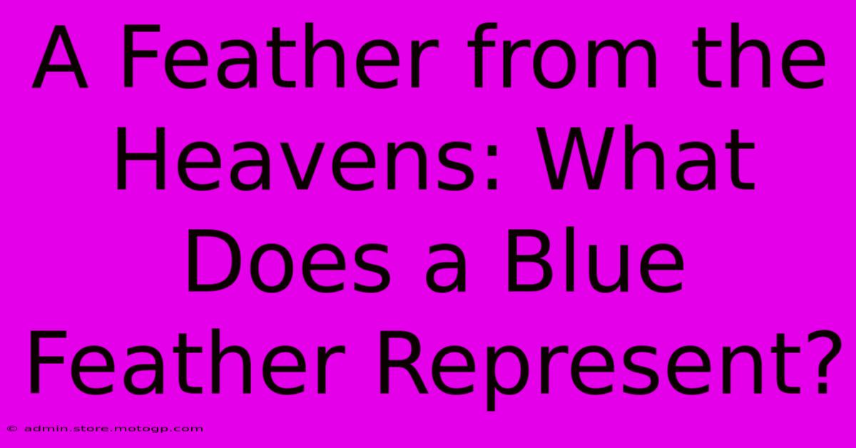 A Feather From The Heavens: What Does A Blue Feather Represent?