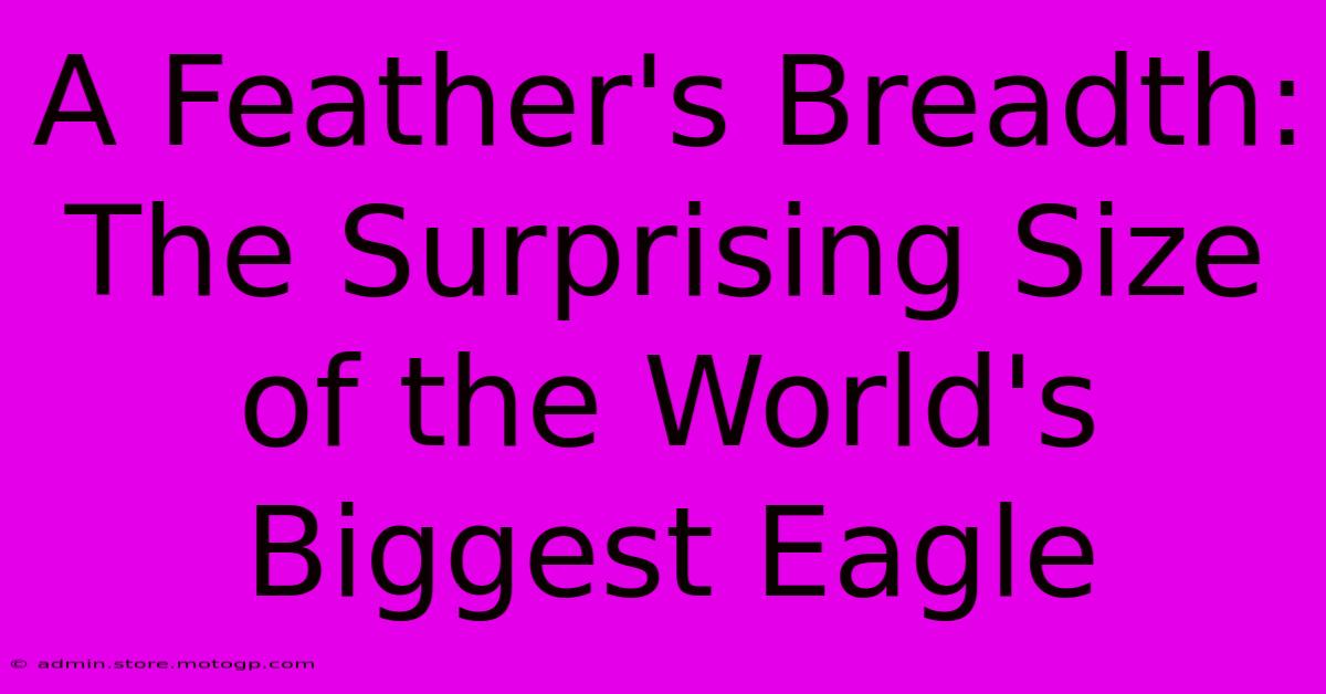 A Feather's Breadth: The Surprising Size Of The World's Biggest Eagle