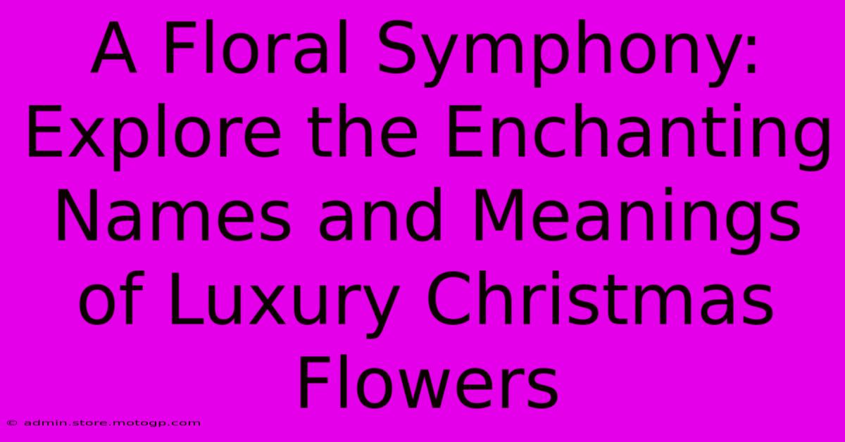 A Floral Symphony: Explore The Enchanting Names And Meanings Of Luxury Christmas Flowers