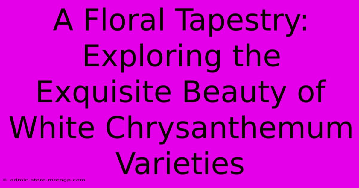 A Floral Tapestry: Exploring The Exquisite Beauty Of White Chrysanthemum Varieties