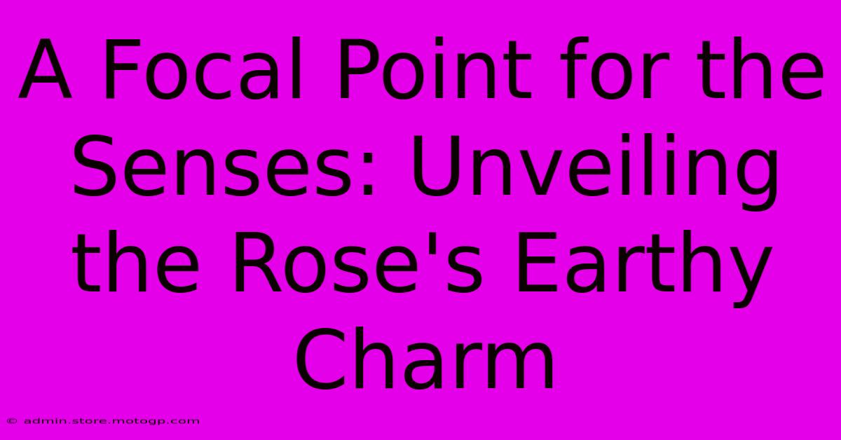 A Focal Point For The Senses: Unveiling The Rose's Earthy Charm