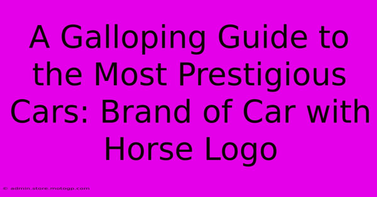 A Galloping Guide To The Most Prestigious Cars: Brand Of Car With Horse Logo