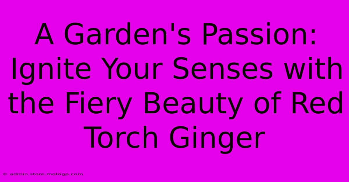 A Garden's Passion: Ignite Your Senses With The Fiery Beauty Of Red Torch Ginger