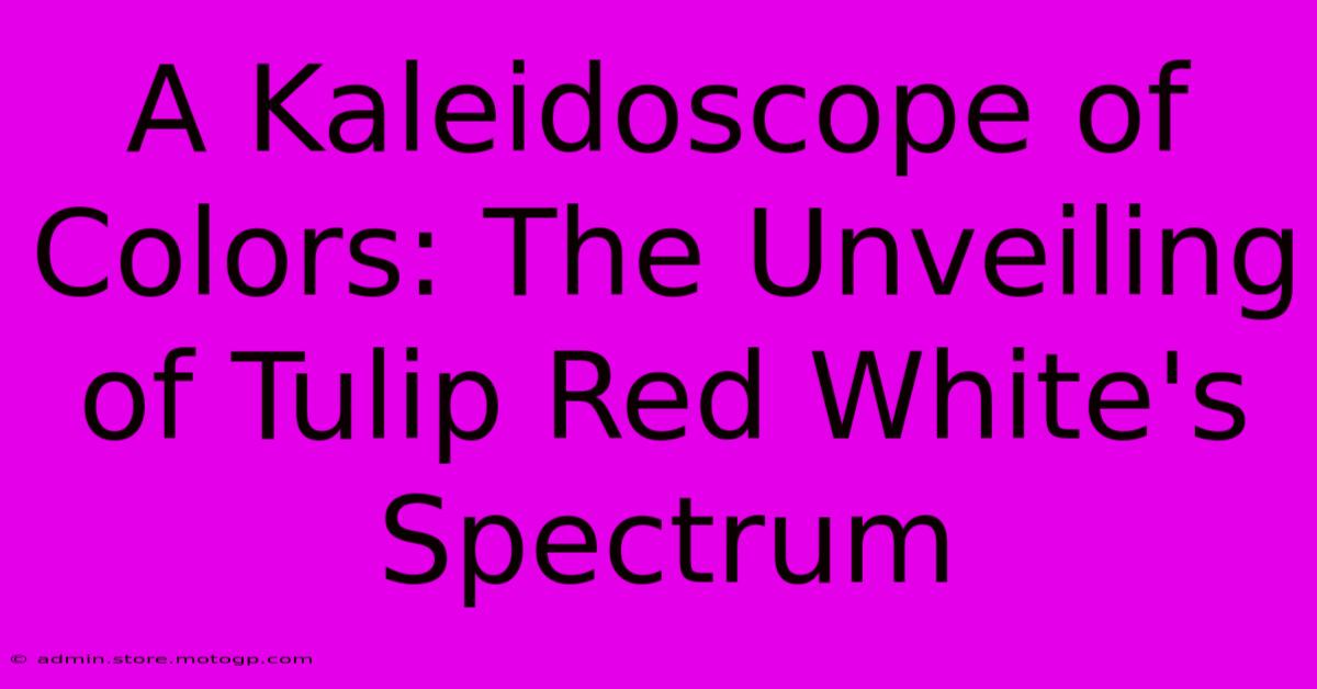 A Kaleidoscope Of Colors: The Unveiling Of Tulip Red White's Spectrum