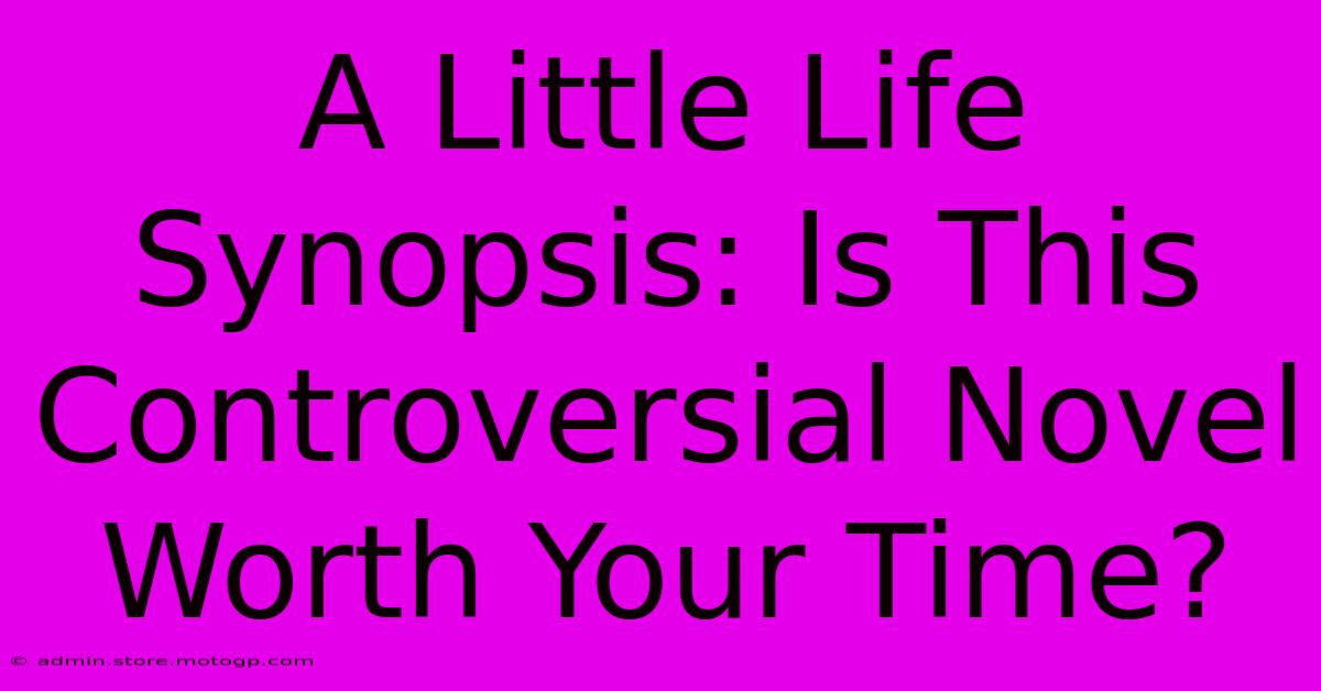 A Little Life Synopsis: Is This Controversial Novel Worth Your Time?