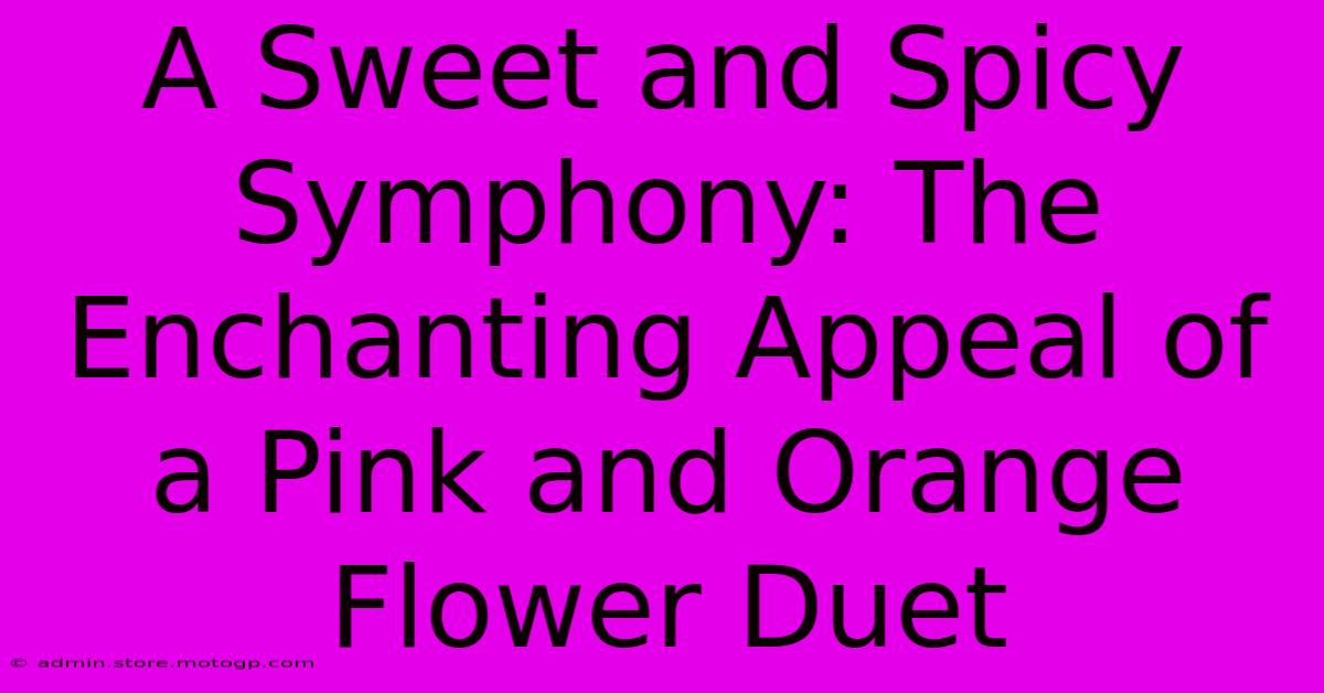 A Sweet And Spicy Symphony: The Enchanting Appeal Of A Pink And Orange Flower Duet