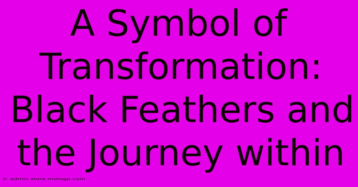 A Symbol Of Transformation: Black Feathers And The Journey Within