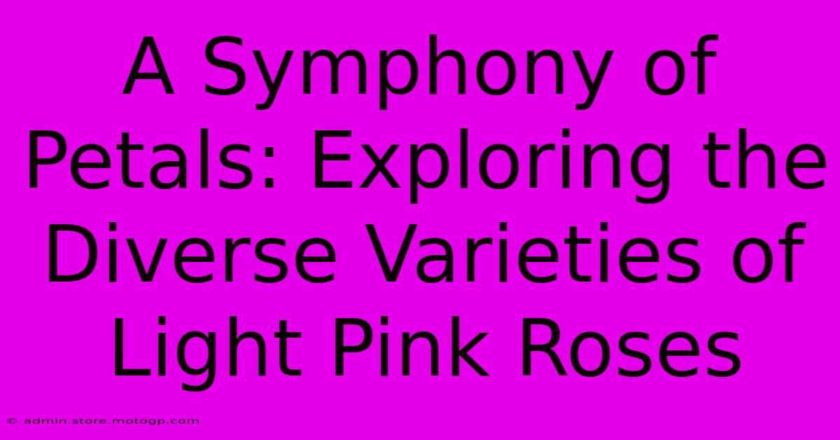 A Symphony Of Petals: Exploring The Diverse Varieties Of Light Pink Roses