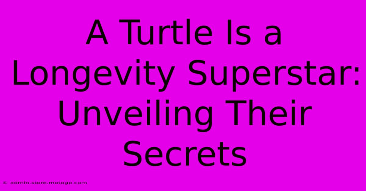 A Turtle Is A Longevity Superstar: Unveiling Their Secrets