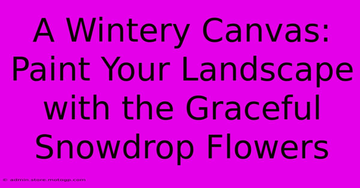 A Wintery Canvas: Paint Your Landscape With The Graceful Snowdrop Flowers