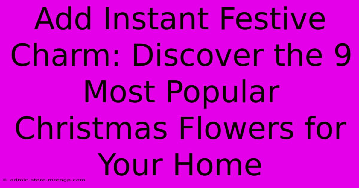 Add Instant Festive Charm: Discover The 9 Most Popular Christmas Flowers For Your Home