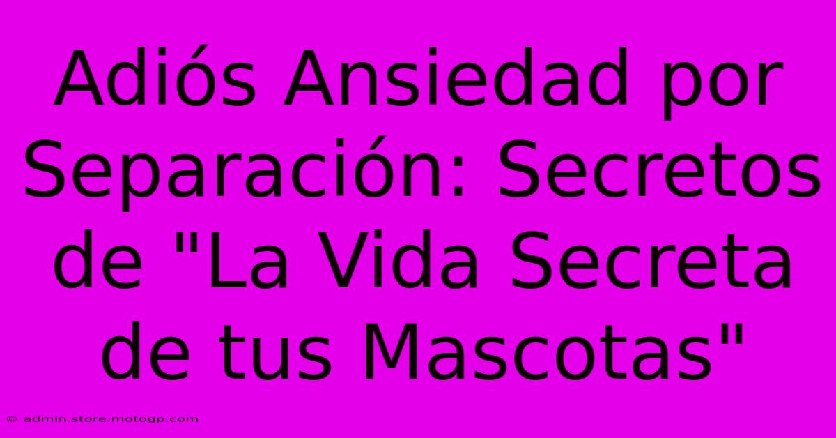 Adiós Ansiedad Por Separación: Secretos De 