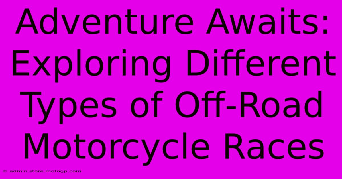 Adventure Awaits: Exploring Different Types Of Off-Road Motorcycle Races