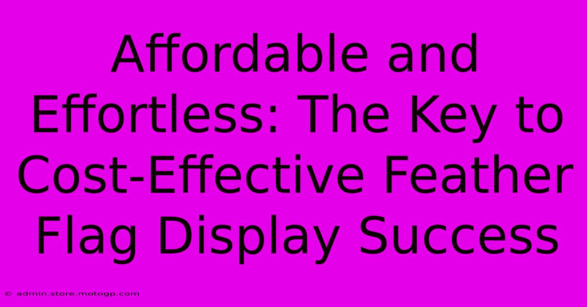 Affordable And Effortless: The Key To Cost-Effective Feather Flag Display Success