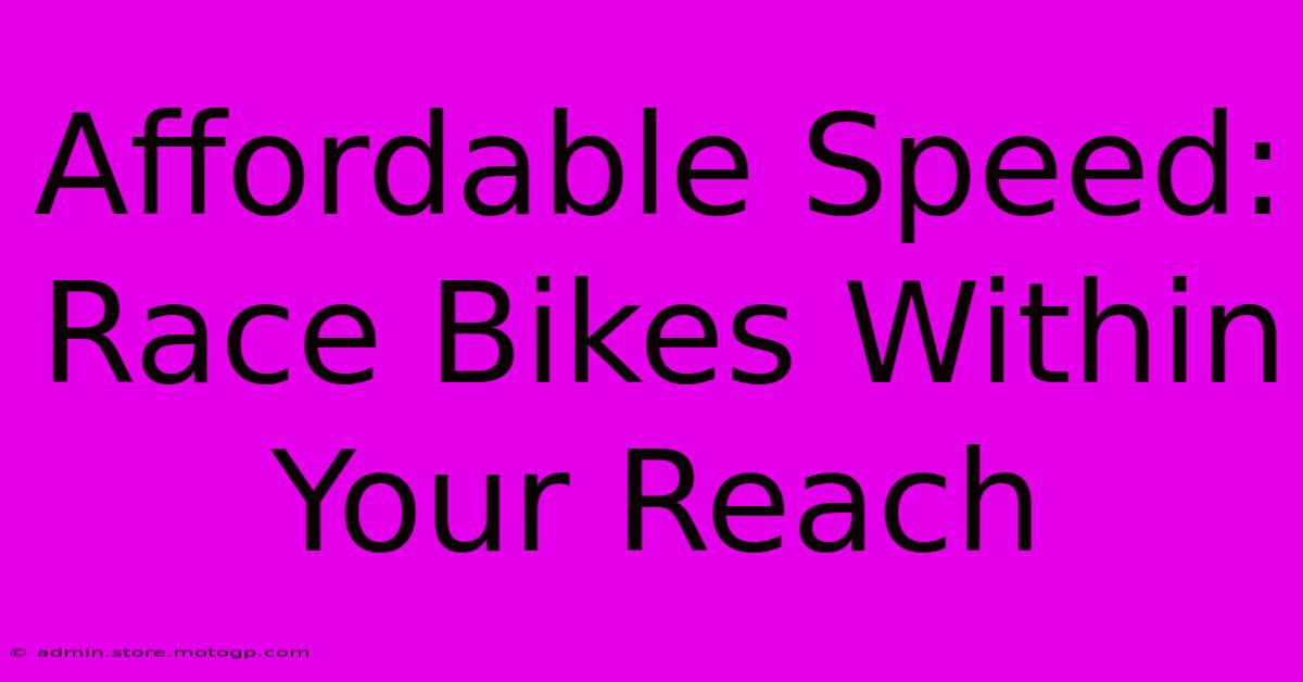 Affordable Speed: Race Bikes Within Your Reach