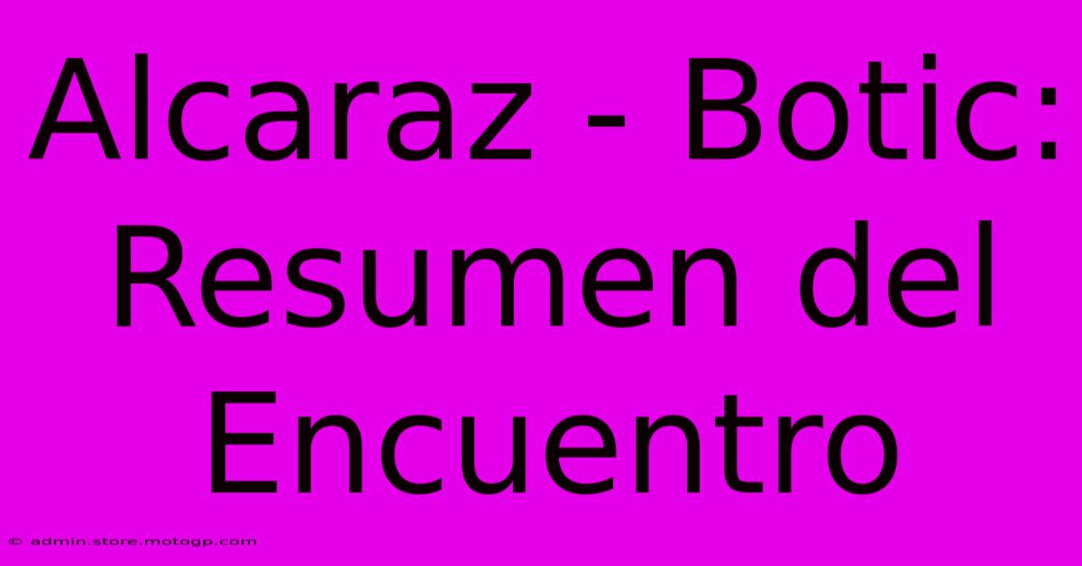 Alcaraz - Botic: Resumen Del Encuentro