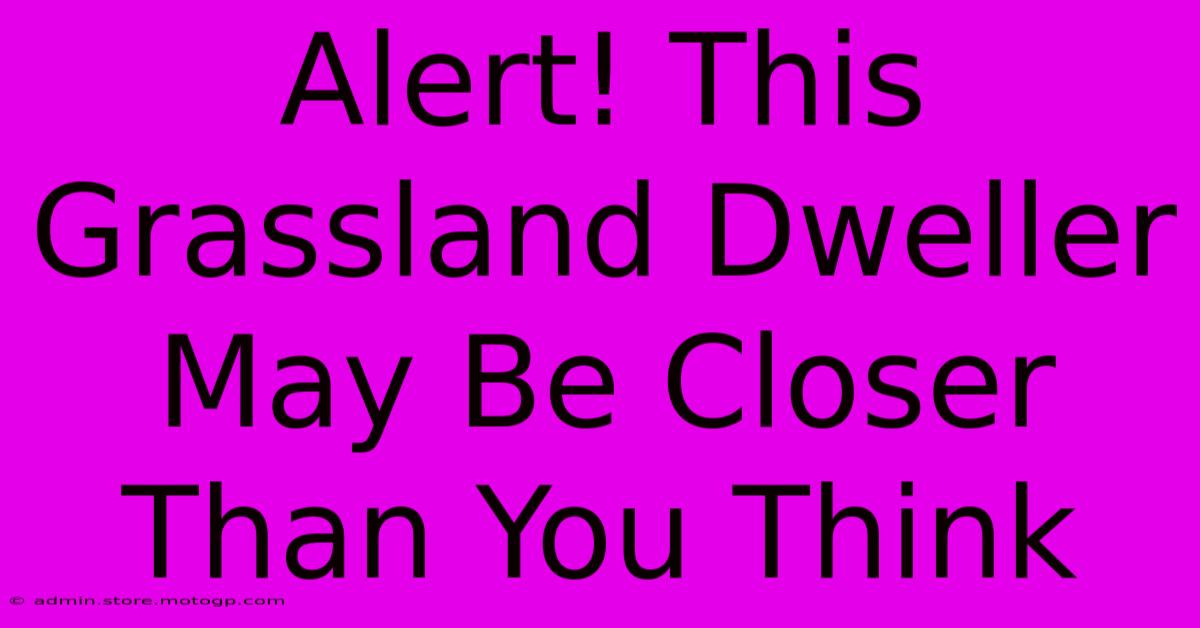 Alert! This Grassland Dweller May Be Closer Than You Think