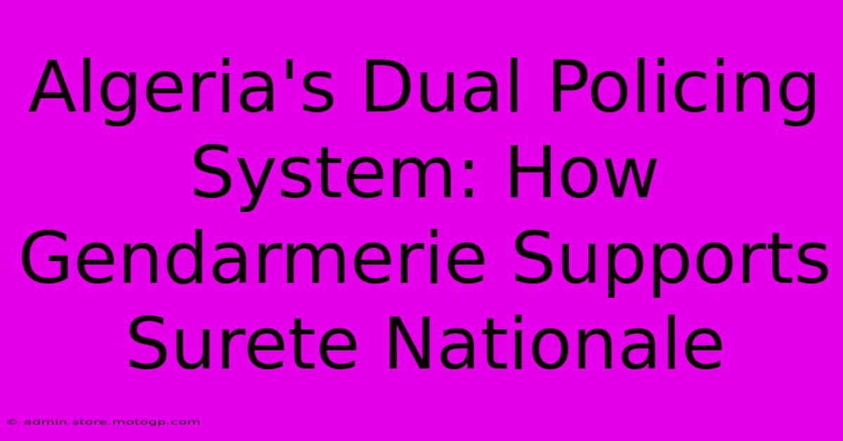 Algeria's Dual Policing System: How Gendarmerie Supports Surete Nationale