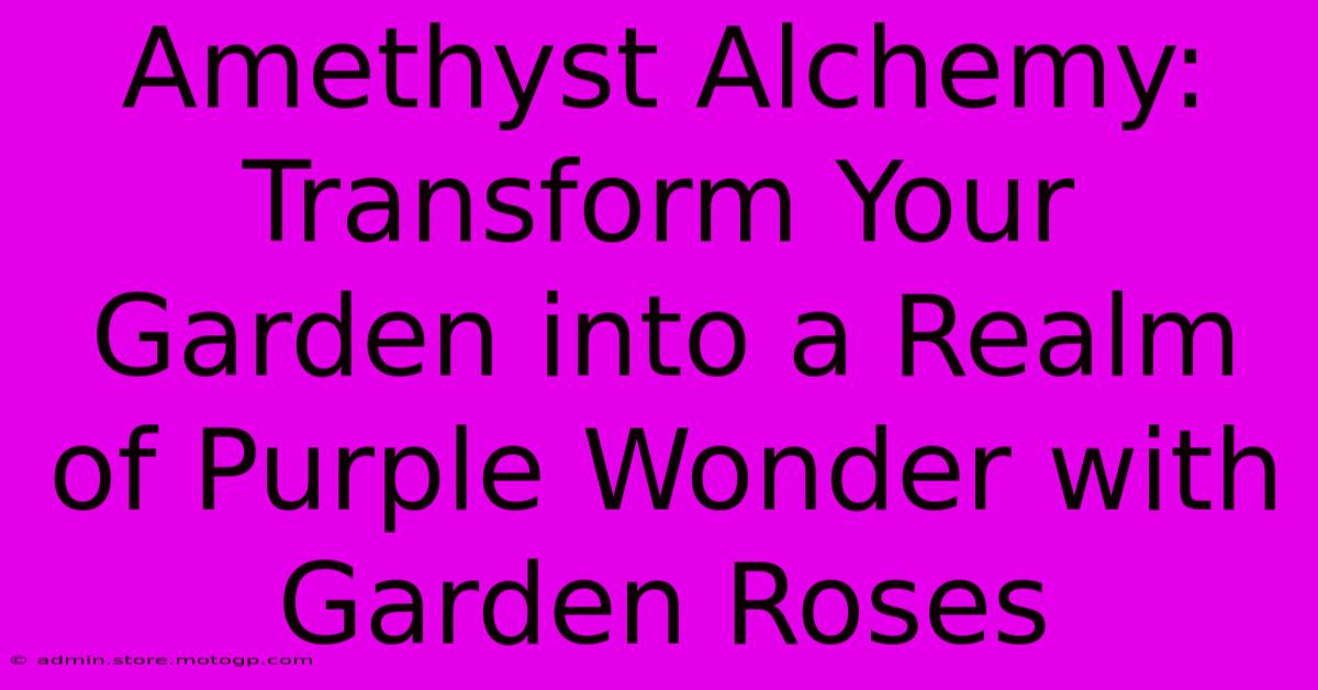 Amethyst Alchemy: Transform Your Garden Into A Realm Of Purple Wonder With Garden Roses