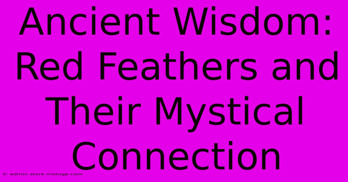 Ancient Wisdom: Red Feathers And Their Mystical Connection