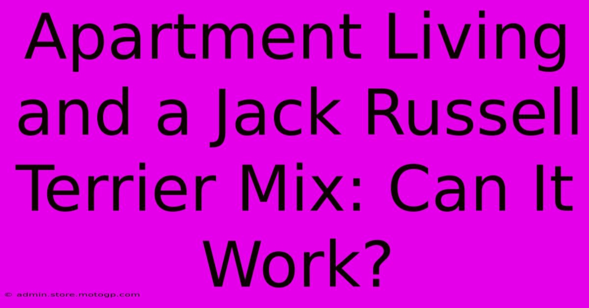 Apartment Living And A Jack Russell Terrier Mix: Can It Work?