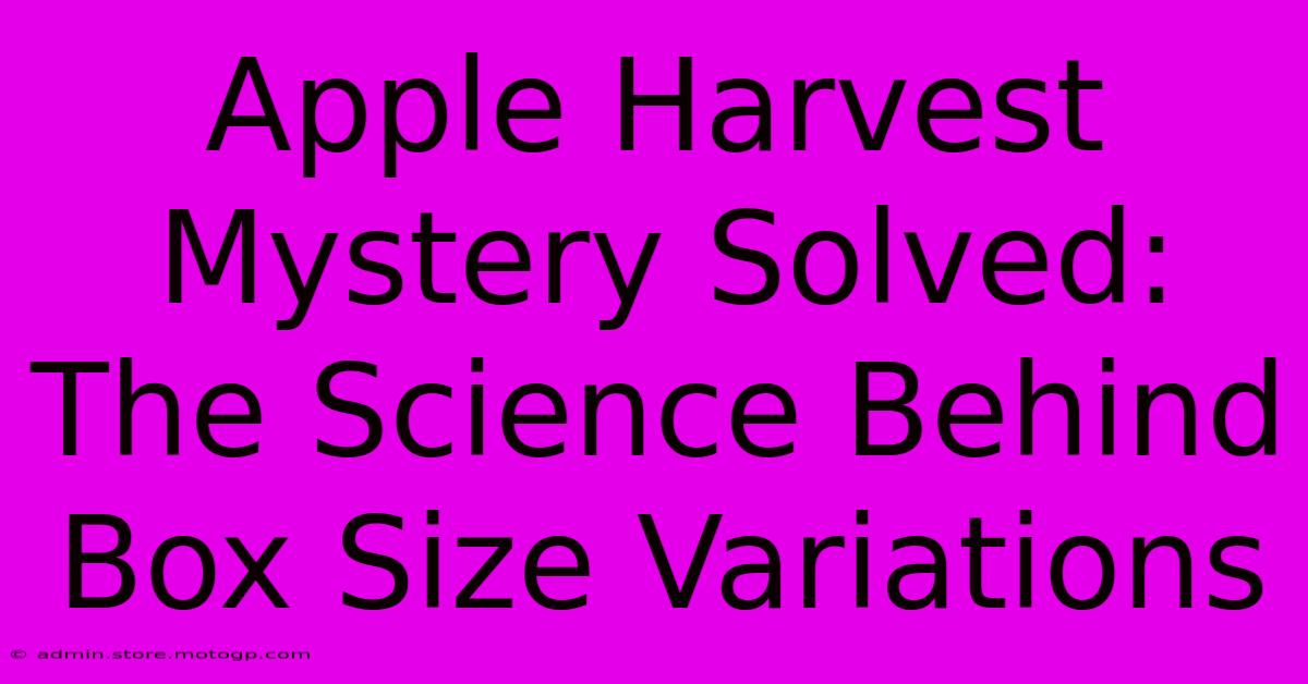 Apple Harvest Mystery Solved: The Science Behind Box Size Variations