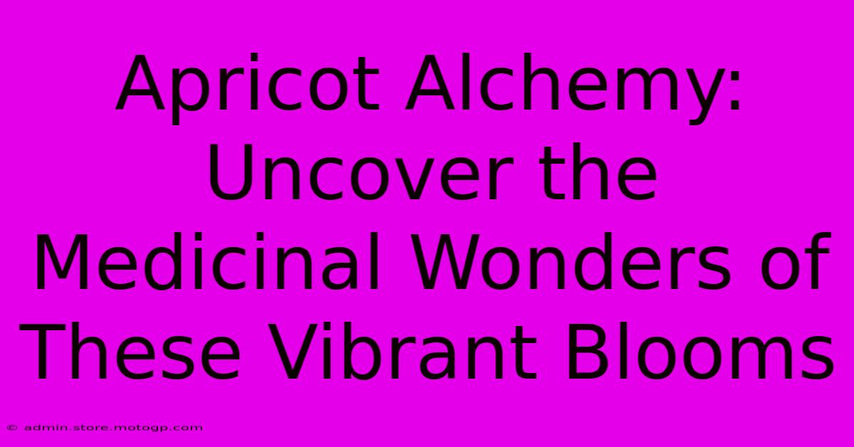 Apricot Alchemy: Uncover The Medicinal Wonders Of These Vibrant Blooms