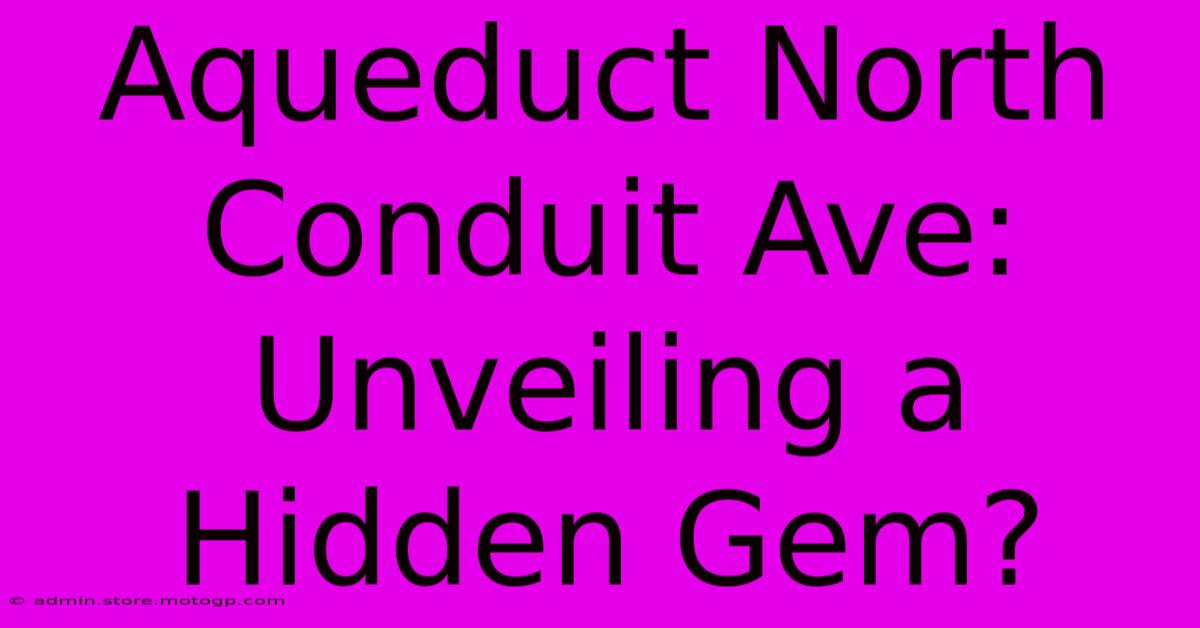 Aqueduct North Conduit Ave: Unveiling A Hidden Gem?