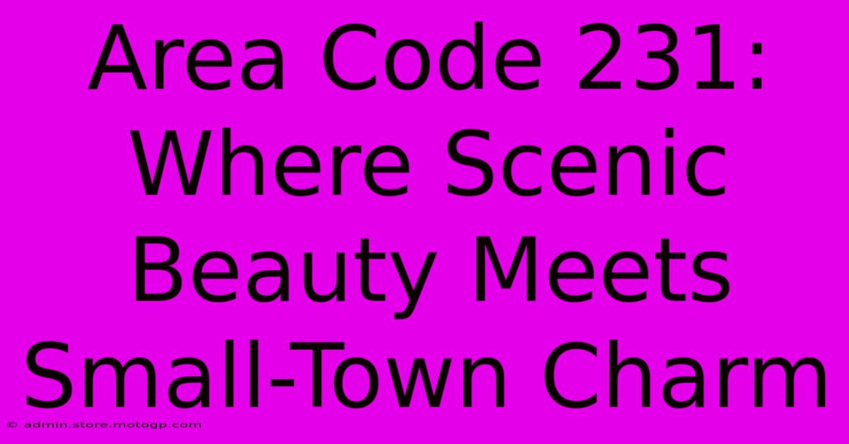 Area Code 231: Where Scenic Beauty Meets Small-Town Charm