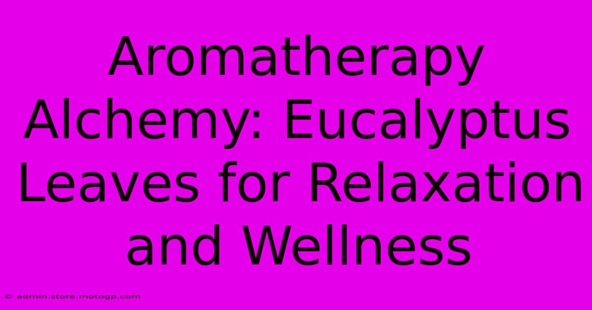 Aromatherapy Alchemy: Eucalyptus Leaves For Relaxation And Wellness