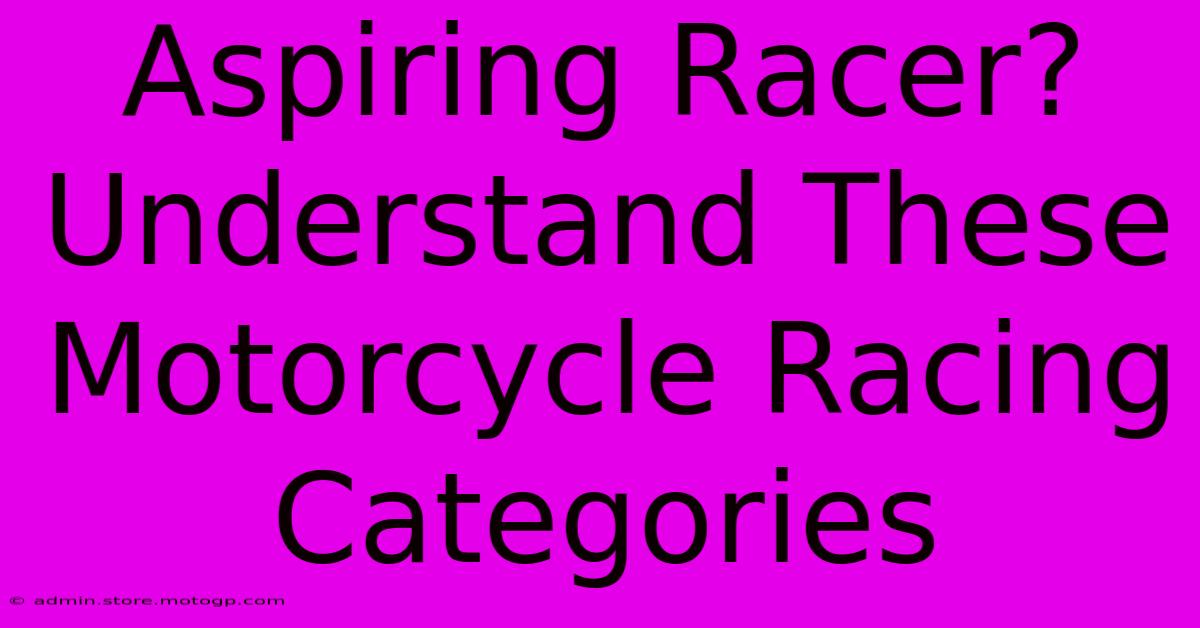 Aspiring Racer? Understand These Motorcycle Racing Categories