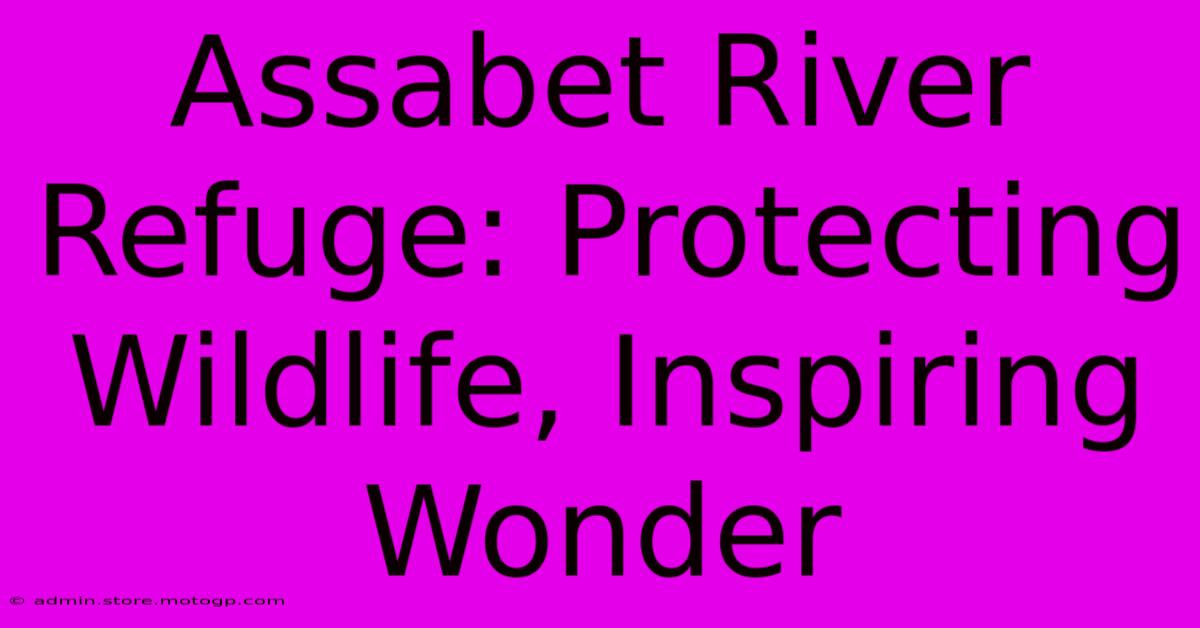 Assabet River Refuge: Protecting Wildlife, Inspiring Wonder