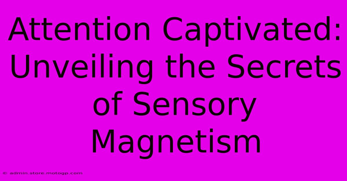 Attention Captivated: Unveiling The Secrets Of Sensory Magnetism