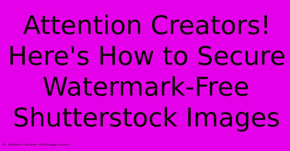 Attention Creators! Here's How To Secure Watermark-Free Shutterstock Images