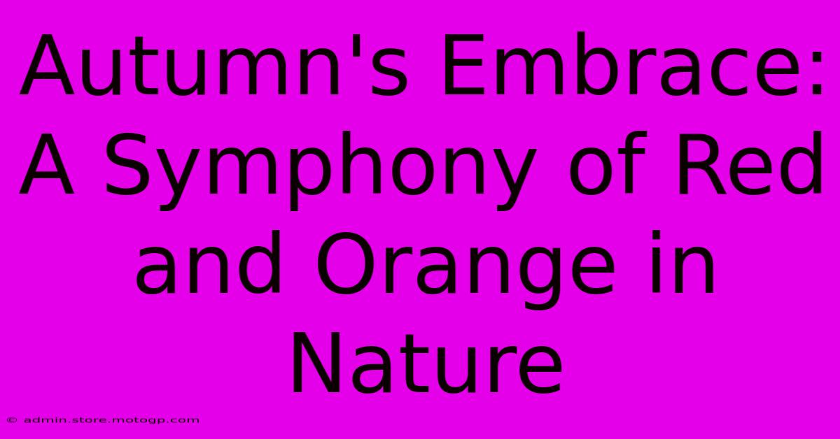 Autumn's Embrace: A Symphony Of Red And Orange In Nature