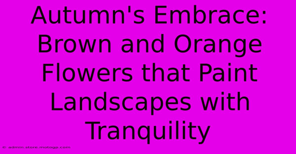 Autumn's Embrace: Brown And Orange Flowers That Paint Landscapes With Tranquility