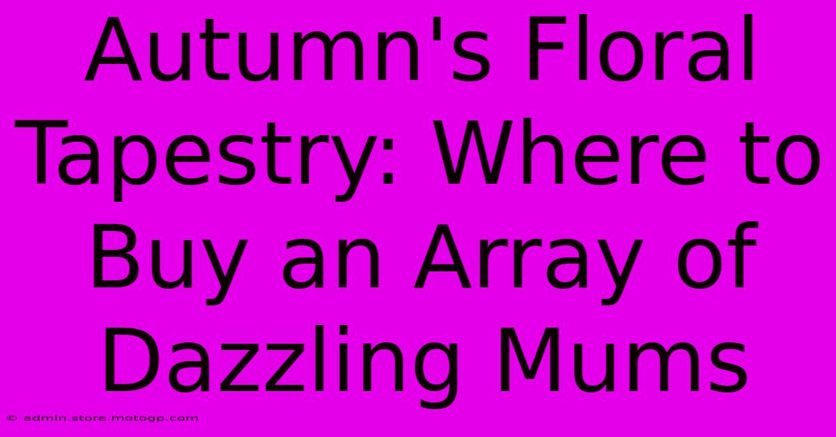 Autumn's Floral Tapestry: Where To Buy An Array Of Dazzling Mums