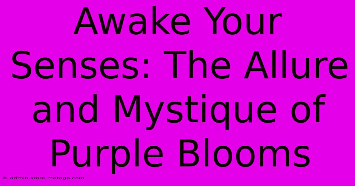 Awake Your Senses: The Allure And Mystique Of Purple Blooms