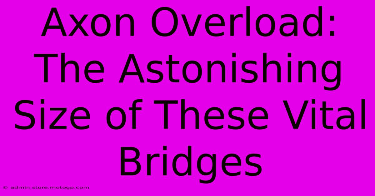 Axon Overload: The Astonishing Size Of These Vital Bridges