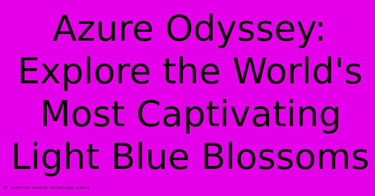 Azure Odyssey: Explore The World's Most Captivating Light Blue Blossoms